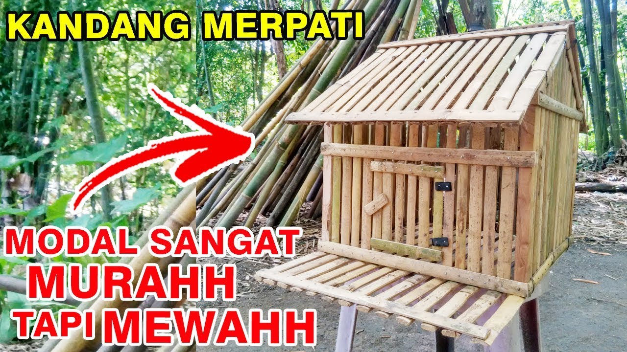 Cara Buat Kandang Merpati - KibrisPDR