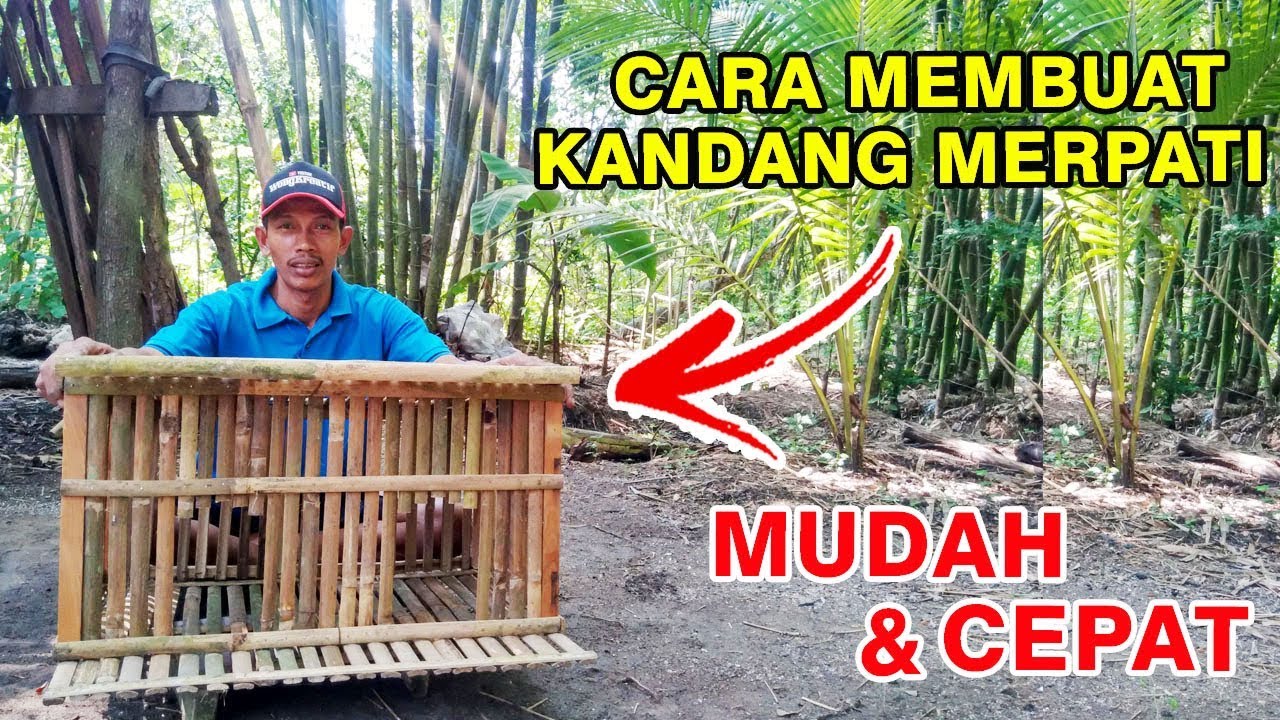 Detail Cara Buat Kandang Merpati Nomer 2