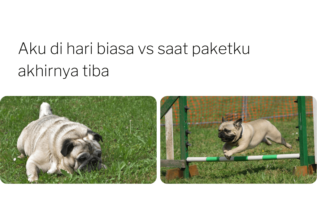 Detail Cara Buat Meme Nomer 33