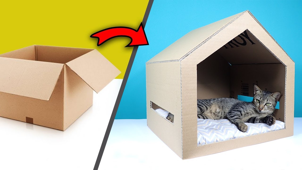 Detail Cara Buat Rumah Kucing Nomer 2