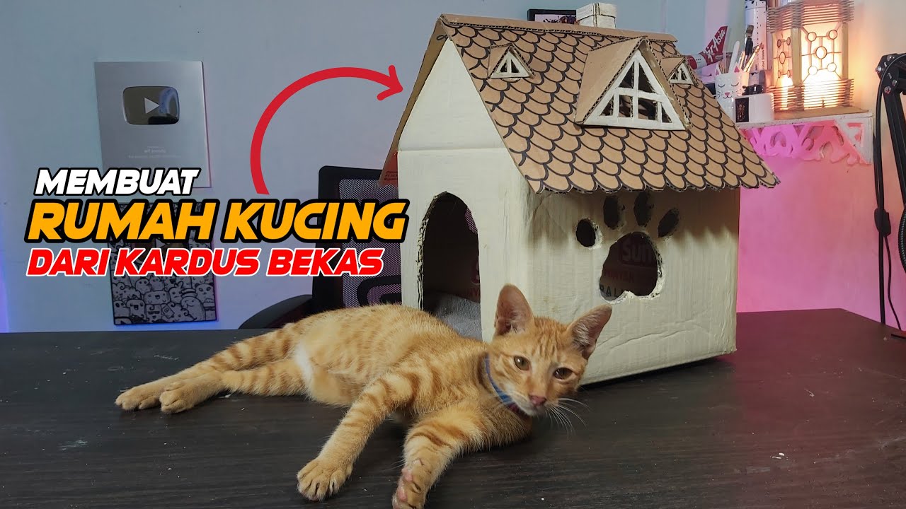 Detail Cara Buat Rumah Kucing Nomer 28