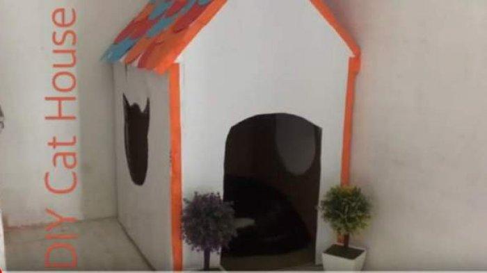 Detail Cara Buat Rumah Kucing Nomer 36