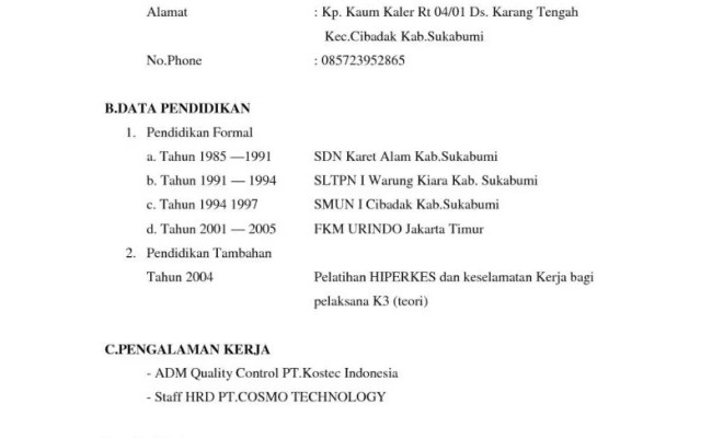 Detail Cara Buat Surat Riwayat Hidup Nomer 18