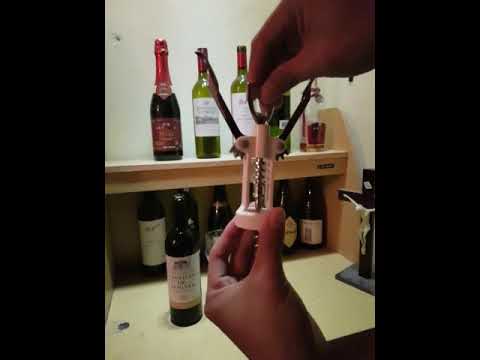 Detail Cara Buka Botol Wine Nomer 7