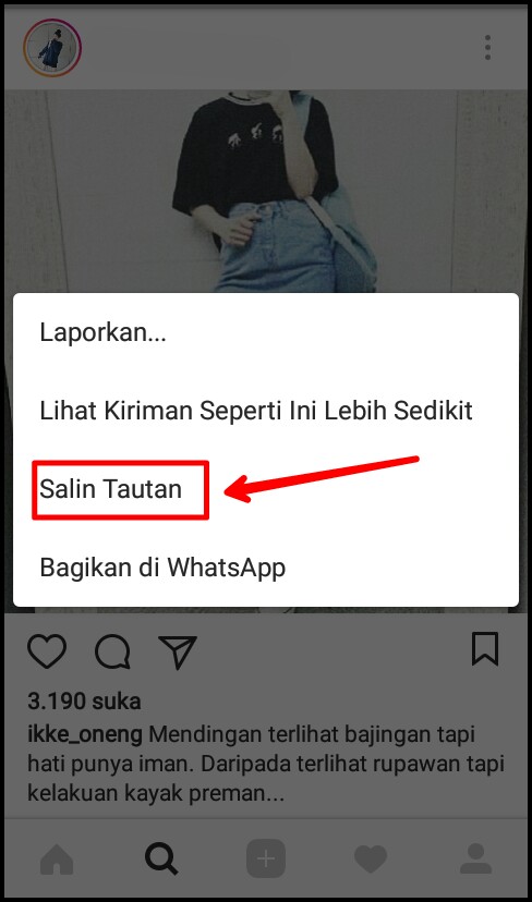 Detail Cara Copas Foto Di Instagram Nomer 15