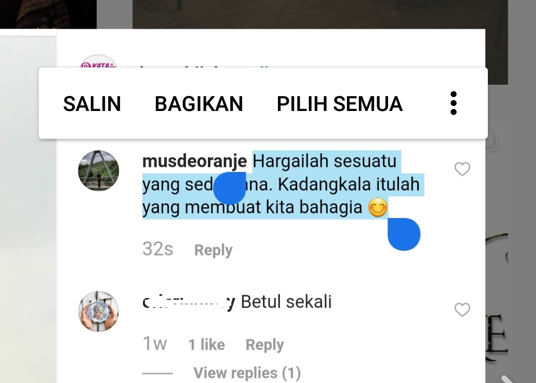 Detail Cara Copy Foto Di Instagram Nomer 37