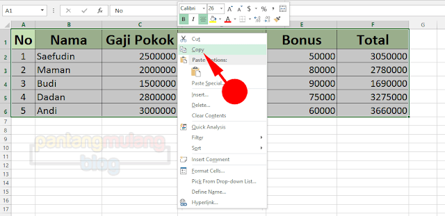 Detail Cara Copy Foto Ke Excel Nomer 8