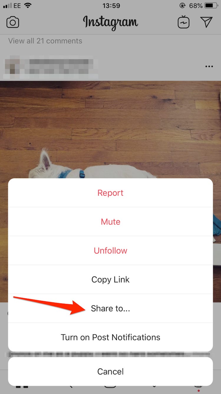 Detail Cara Copy Paste Foto Di Story Instagram Nomer 32