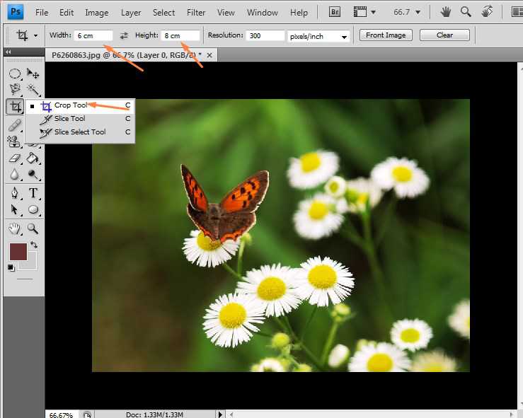 Detail Cara Crop Foto Di Photoshop Sesuai Bentuk Nomer 24