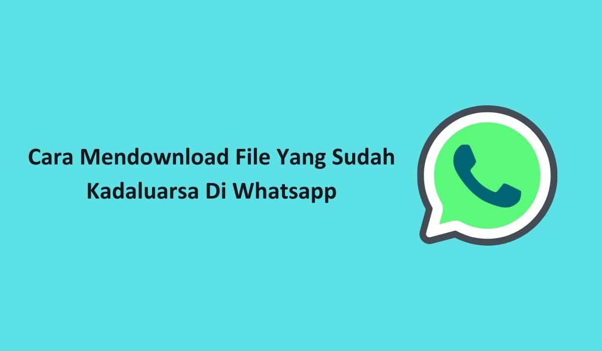 Detail Cara Download Foto Di Wa Yang Sudah Lama Nomer 7