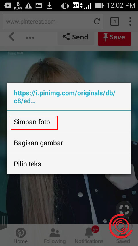 Detail Cara Download Foto Pinterest Nomer 10