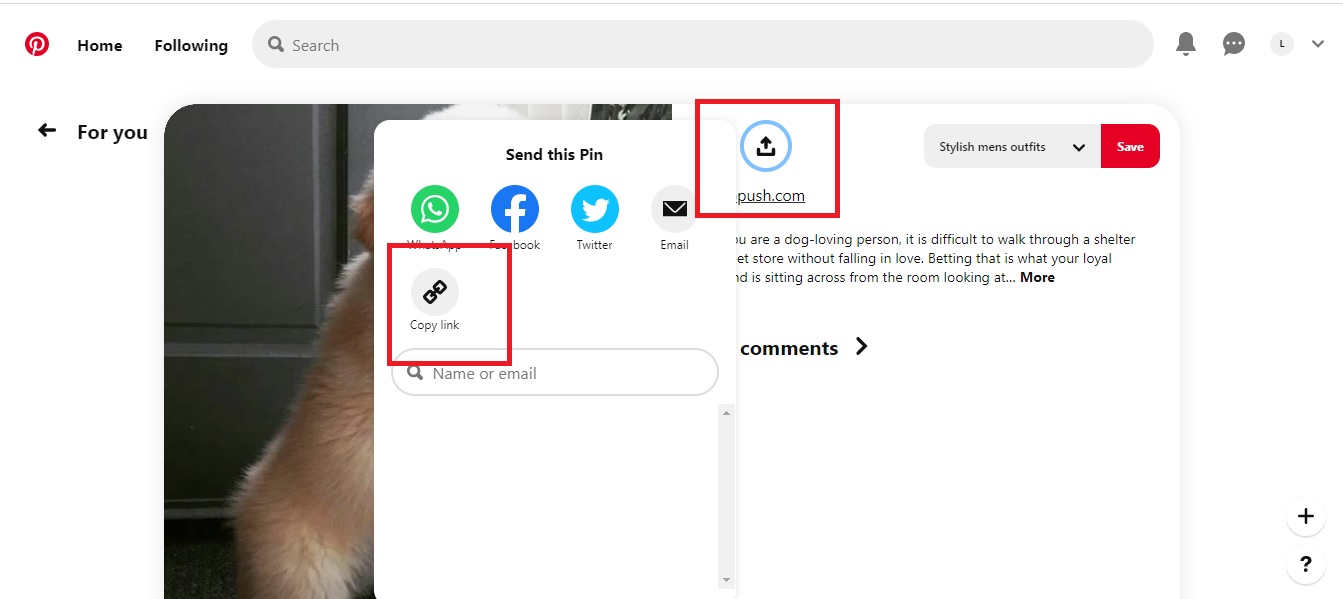 Detail Cara Download Foto Pinterest Nomer 44