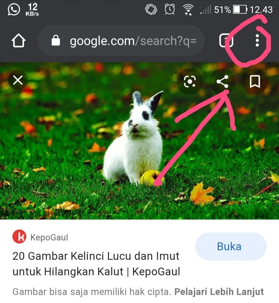 Detail Cara Download Gambar Dari Google Nomer 9