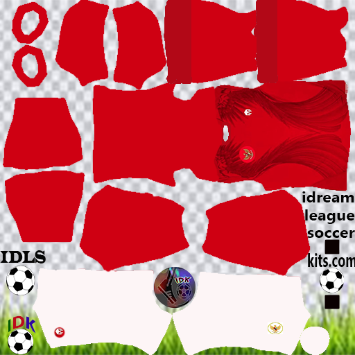 Detail Cara Download Logo Liga Indo Di Dream Leuage Soccer Nomer 15