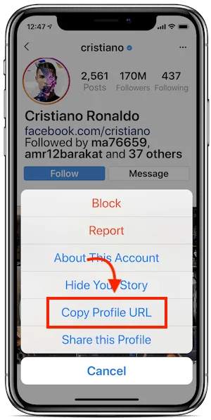 Detail Cara Download Pp Instagram Orang Nomer 51