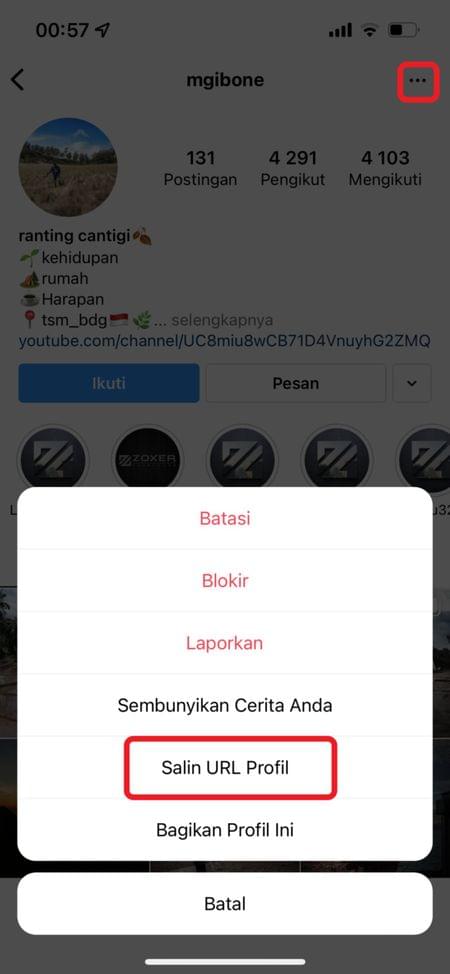 Detail Cara Download Pp Instagram Orang Nomer 9