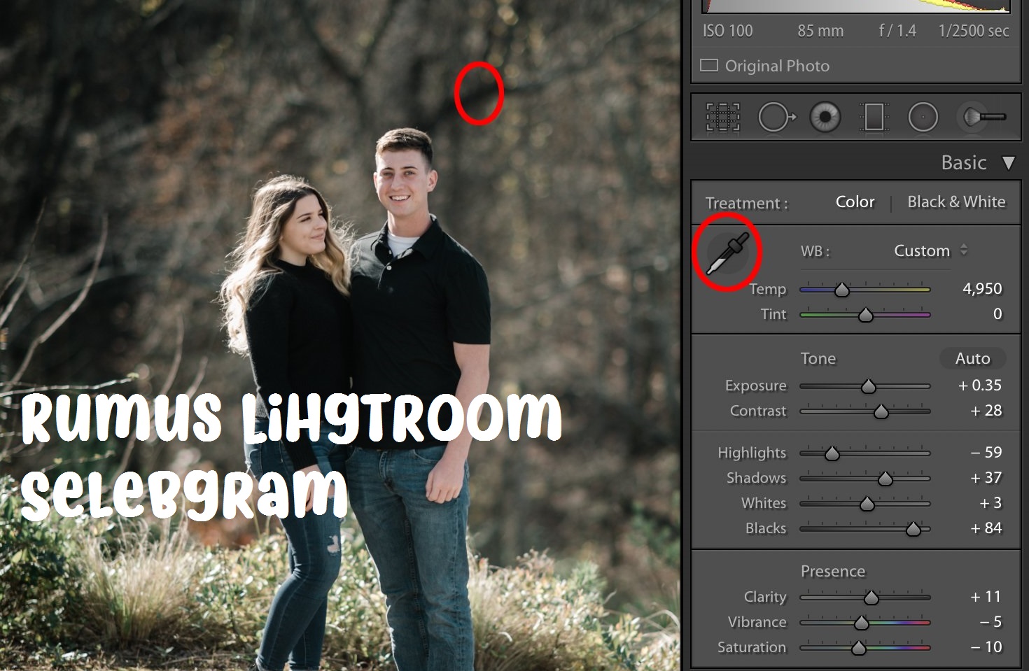 Detail Cara Edit Foto Ala Selebgram Di Lightroom Nomer 18