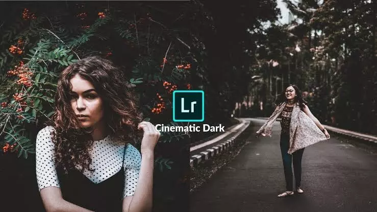 Detail Cara Edit Foto Cinematic Di Android Nomer 11