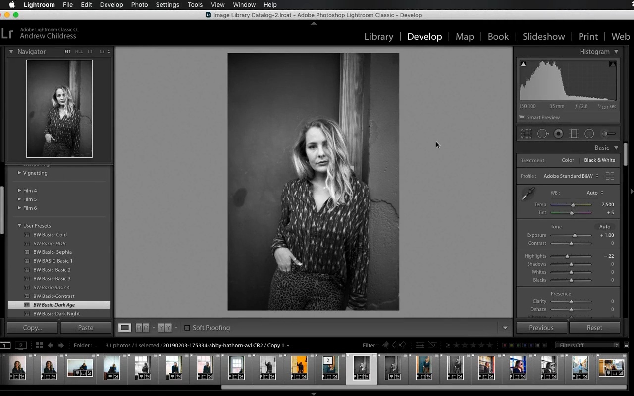 Detail Cara Edit Foto Di Adobe Lightroom Cc Nomer 10