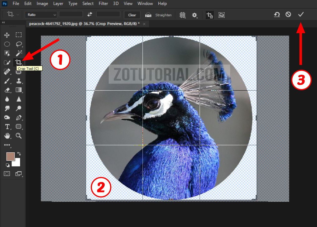 Detail Cara Edit Foto Di Photoshop Cc 2019 Nomer 29