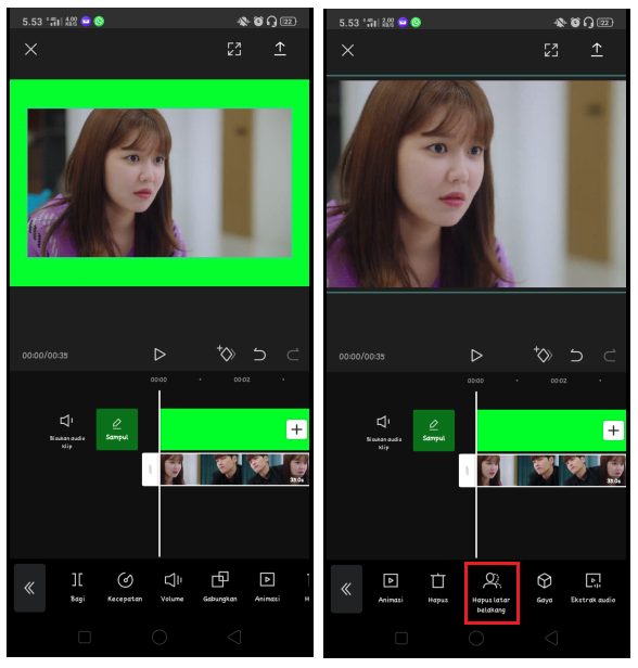 Detail Cara Edit Foto Green Screen Nomer 11