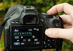 Detail Cara Foto Panning Canon Nomer 45