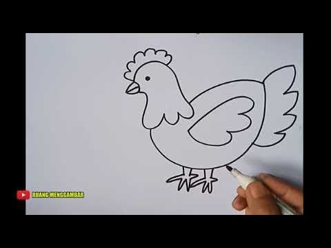 Detail Cara Gambar Ayam Nomer 4