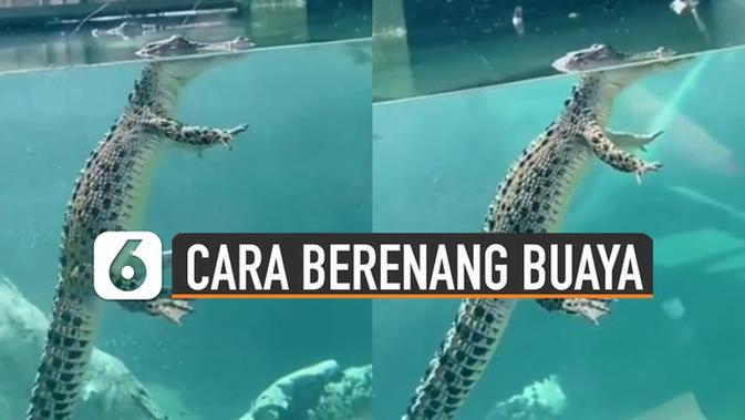 Detail Cara Gambar Buaya Nomer 22