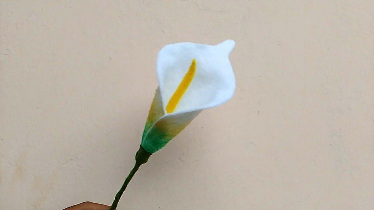 Detail Cara Gambar Bunga Lili Nomer 17