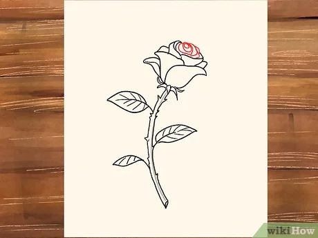 Detail Cara Gambar Bunga Mawar Nomer 7