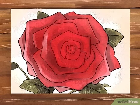 Detail Cara Gambar Bunga Mawar Merah Nomer 8