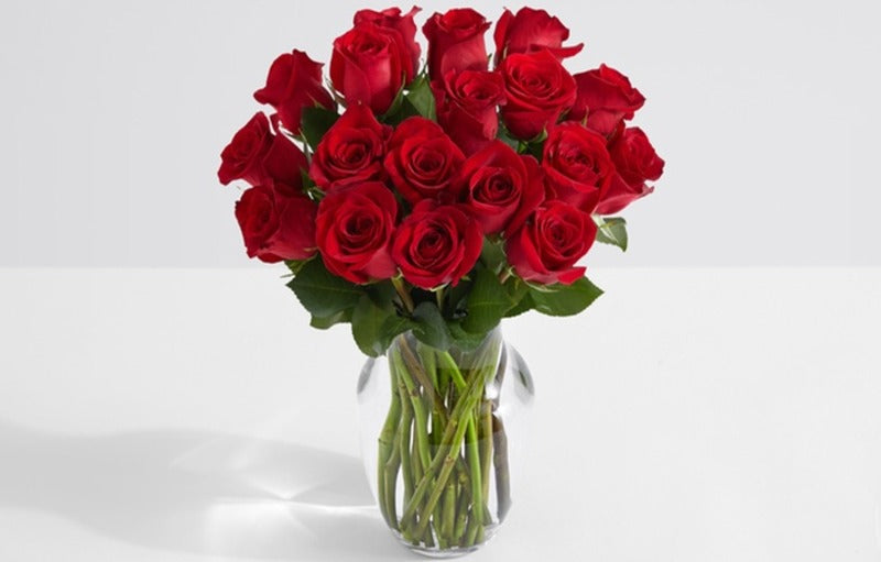 Detail Cara Gambar Bunga Mawar Merah Yang Sangat Cantik Nomer 27