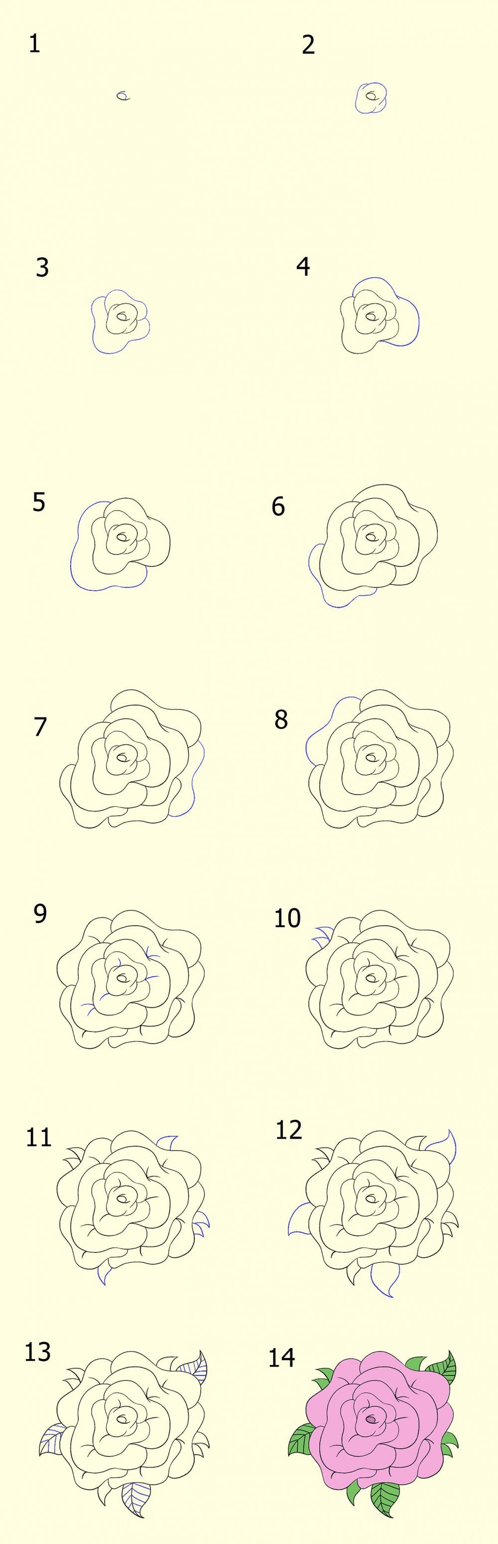 Detail Cara Gambar Bunga Mawar Sederhana Nomer 11