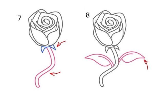 Detail Cara Gambar Bunga Mawar Sederhana Nomer 17