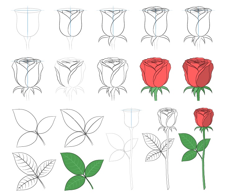 Detail Cara Gambar Bunga Mawar Yang Mudah Nomer 18