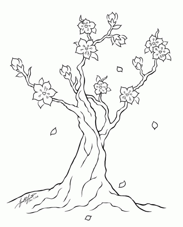 Detail Cara Gambar Bunga Sakura Hitam Putih Nomer 27