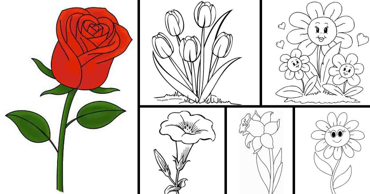 Detail Cara Gambar Bunga Simple Nomer 15