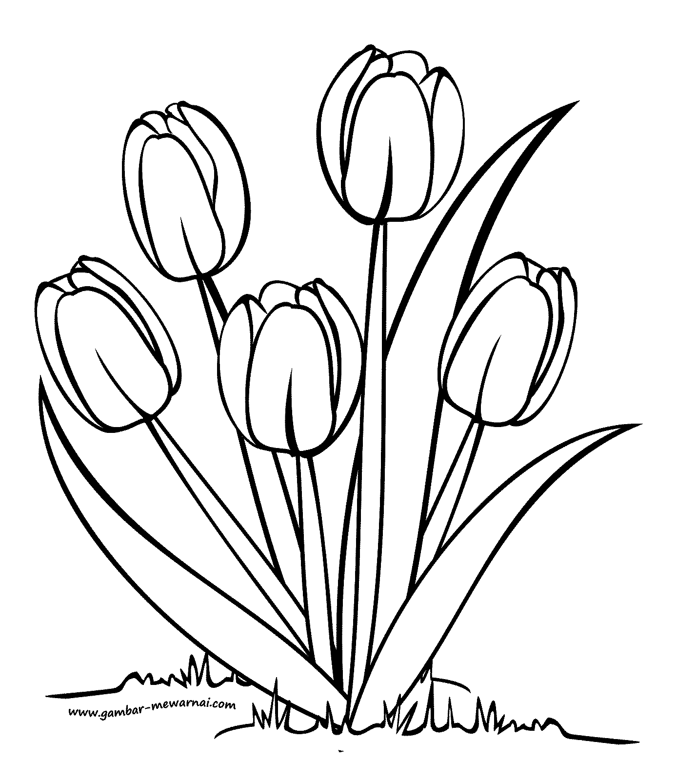 Detail Cara Gambar Bunga Tulip Nomer 15