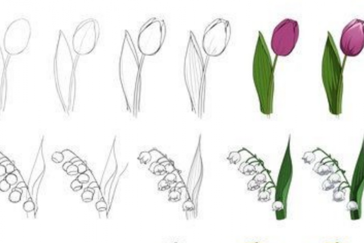 Detail Cara Gambar Bunga Yg Mudah Nomer 24