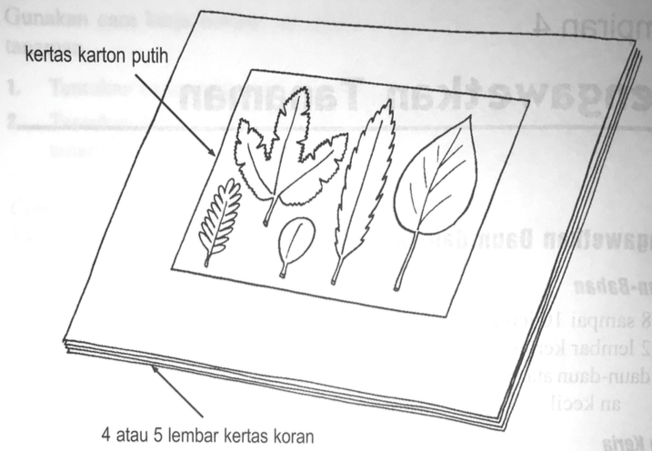 Detail Cara Gambar Daun Nomer 18