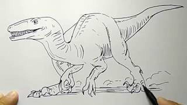 Detail Cara Gambar Dinosaurus Nomer 19