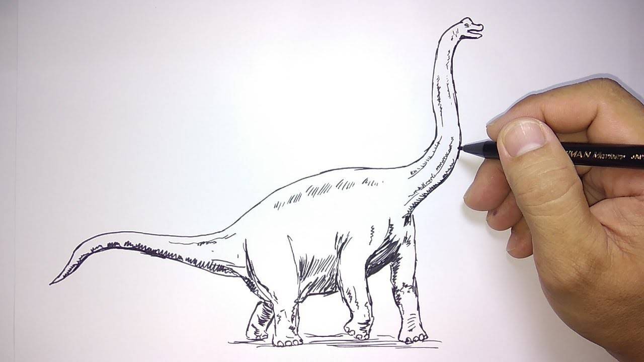 Detail Cara Gambar Dinosaurus Nomer 10