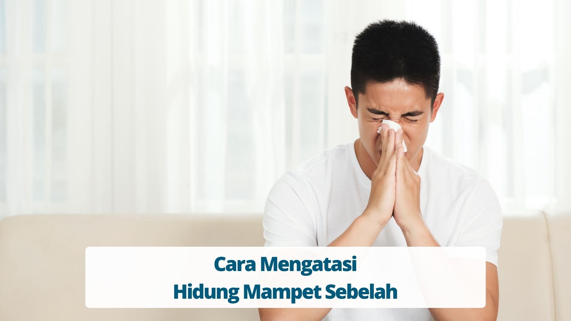 Detail Cara Gambar Hidung Nomer 33