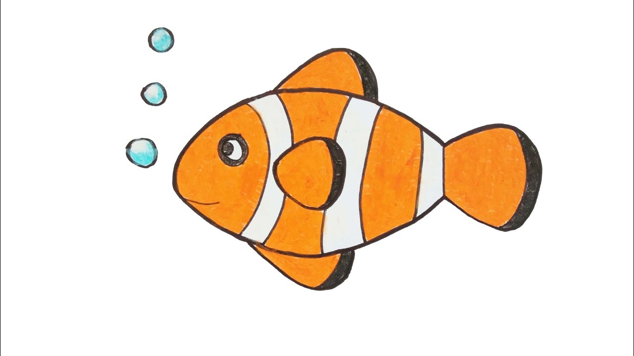 Cara Gambar Ikan Nemo - KibrisPDR