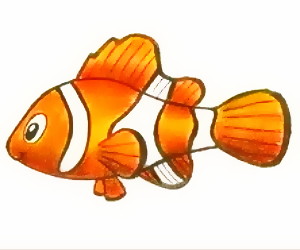 Detail Cara Gambar Ikan Nemo Nomer 2