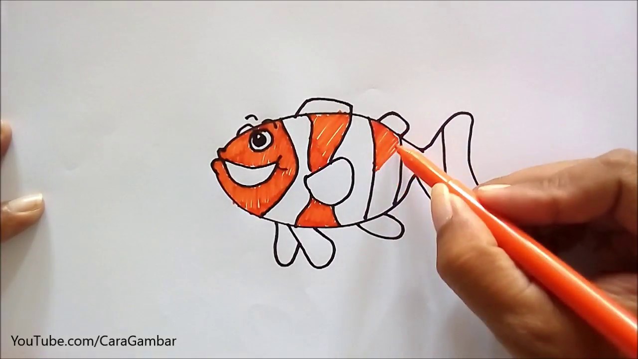 Detail Cara Gambar Ikan Nemo Nomer 12