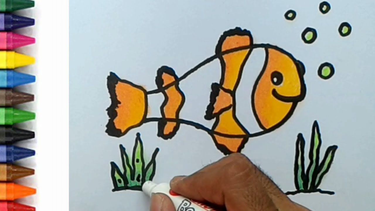 Detail Cara Gambar Ikan Nemo Nomer 19