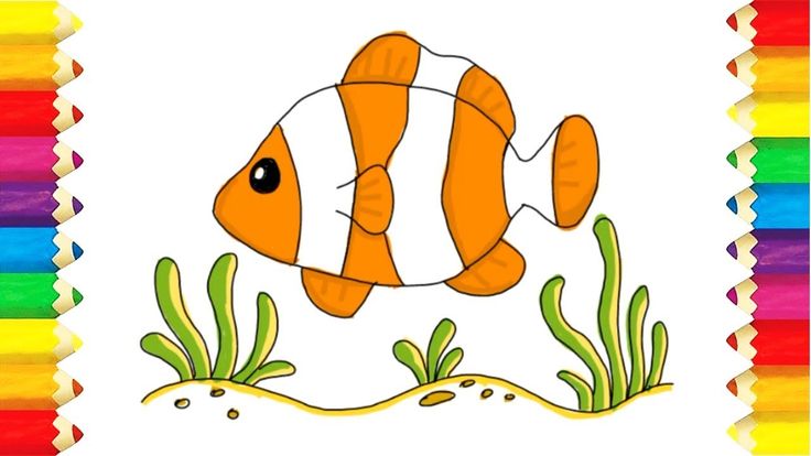 Detail Cara Gambar Ikan Nemo Nomer 6