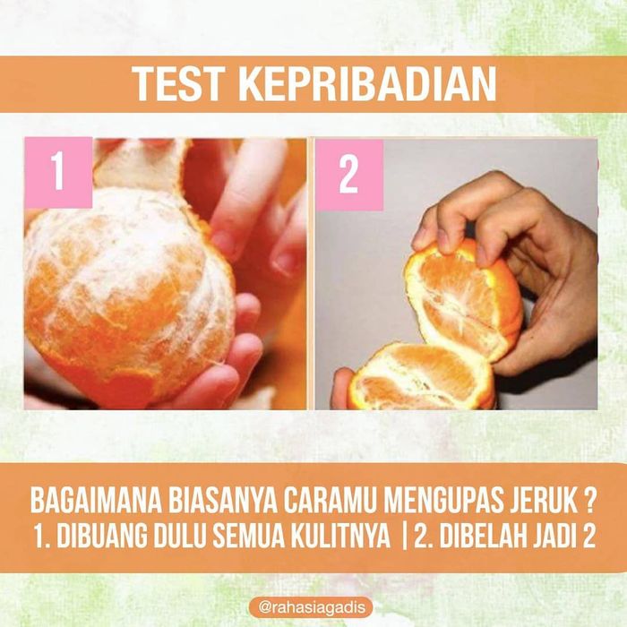 Detail Cara Gambar Jeruk Nomer 53