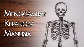 Detail Cara Gambar Kerangka Manusia Nomer 17